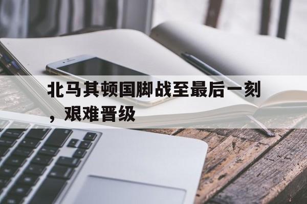 乐动体育官方网站-北马其顿什么水平的足球队